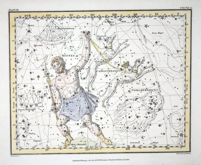 Die Sternbilder (Tafel VII) Bootes und Mons Maenalus, Asterion und Chara oder Canes Venatici, Coma Berenices, aus 